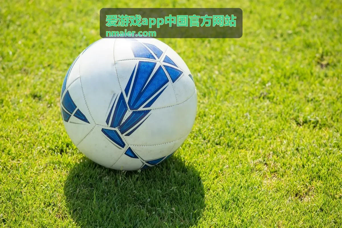 爱游戏app中国官方网站客户端下载与安装包校验