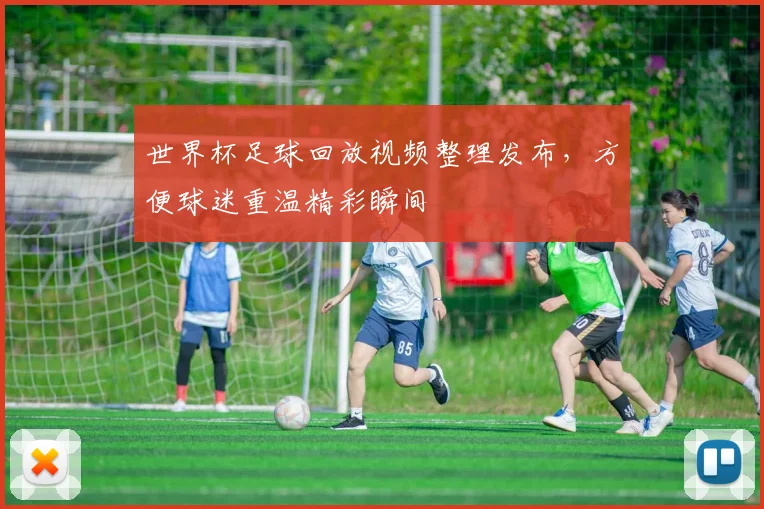 世界杯足球回放视频整理发布,方便球迷重温精彩瞬间